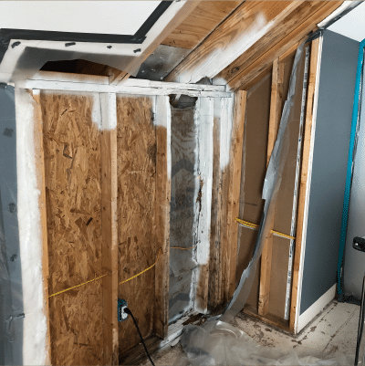 MOLD MITIGATION